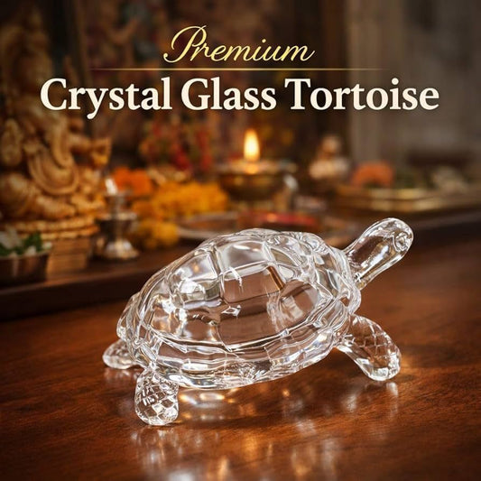 Glass Tortoise / Kachua