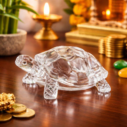 Glass Tortoise / Kachua