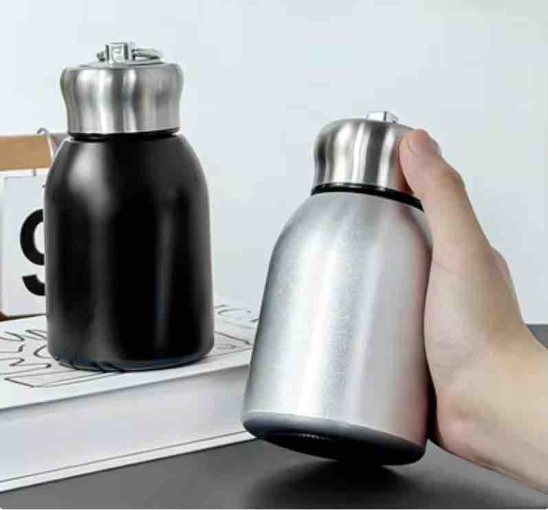 Colourful Stainless Steel Hot & Cold Bottle (300ml)